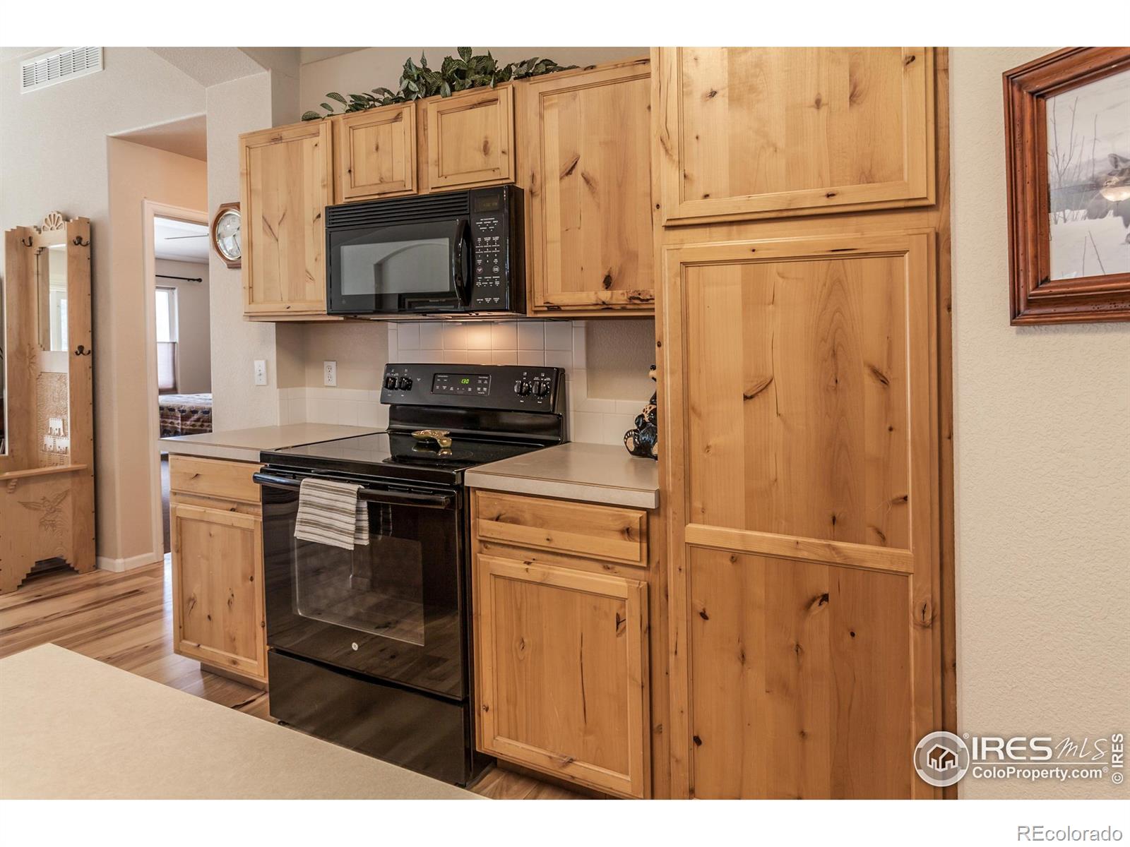 MLS Image #5 for 515  limber pine court,severance, Colorado