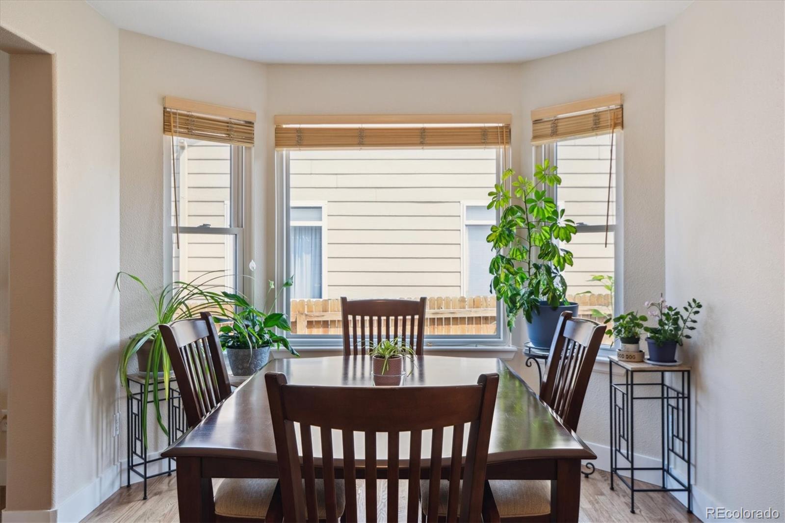 MLS Image #9 for 9242  vance court,broomfield, Colorado