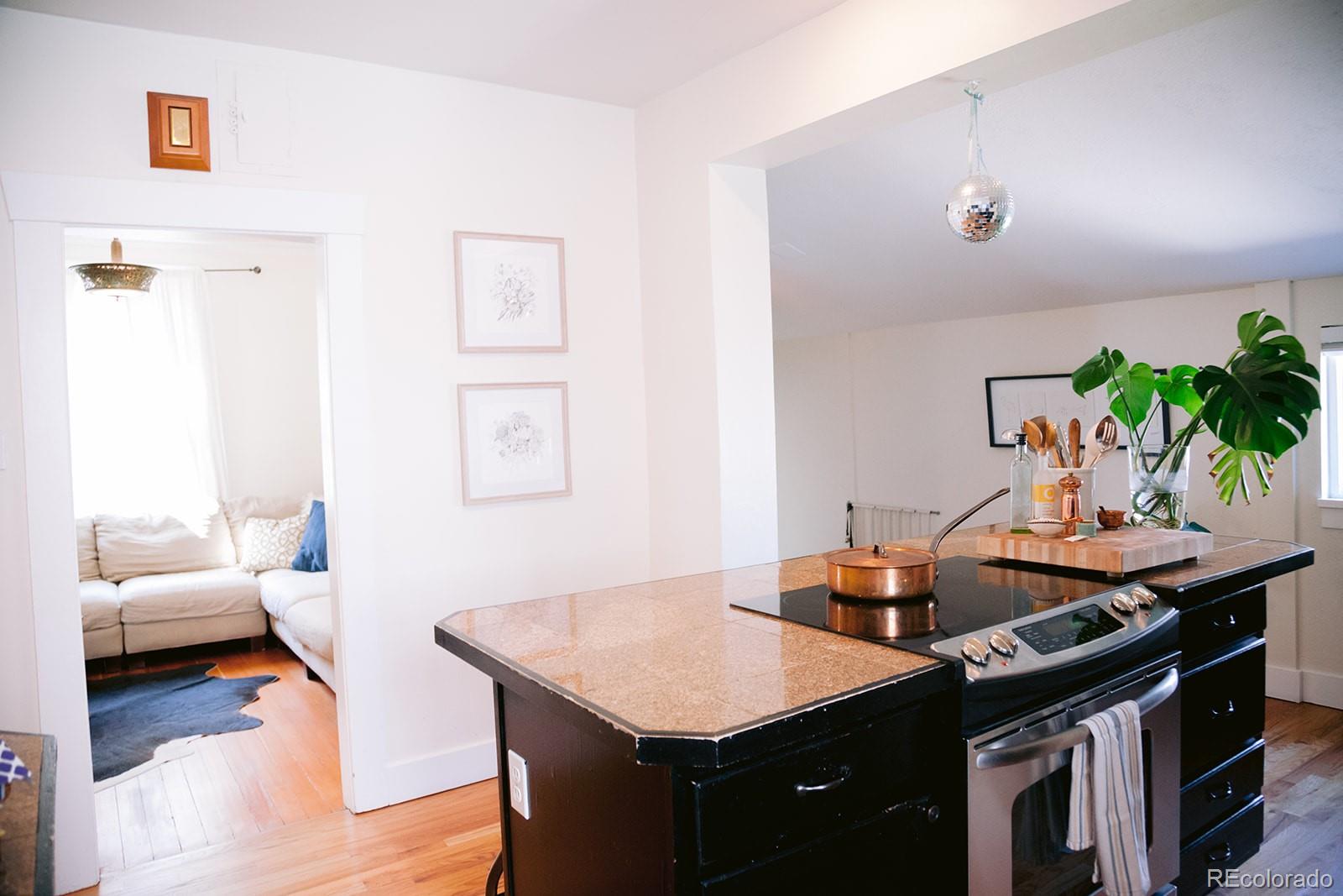 MLS Image #19 for 1585 s grant street,denver, Colorado
