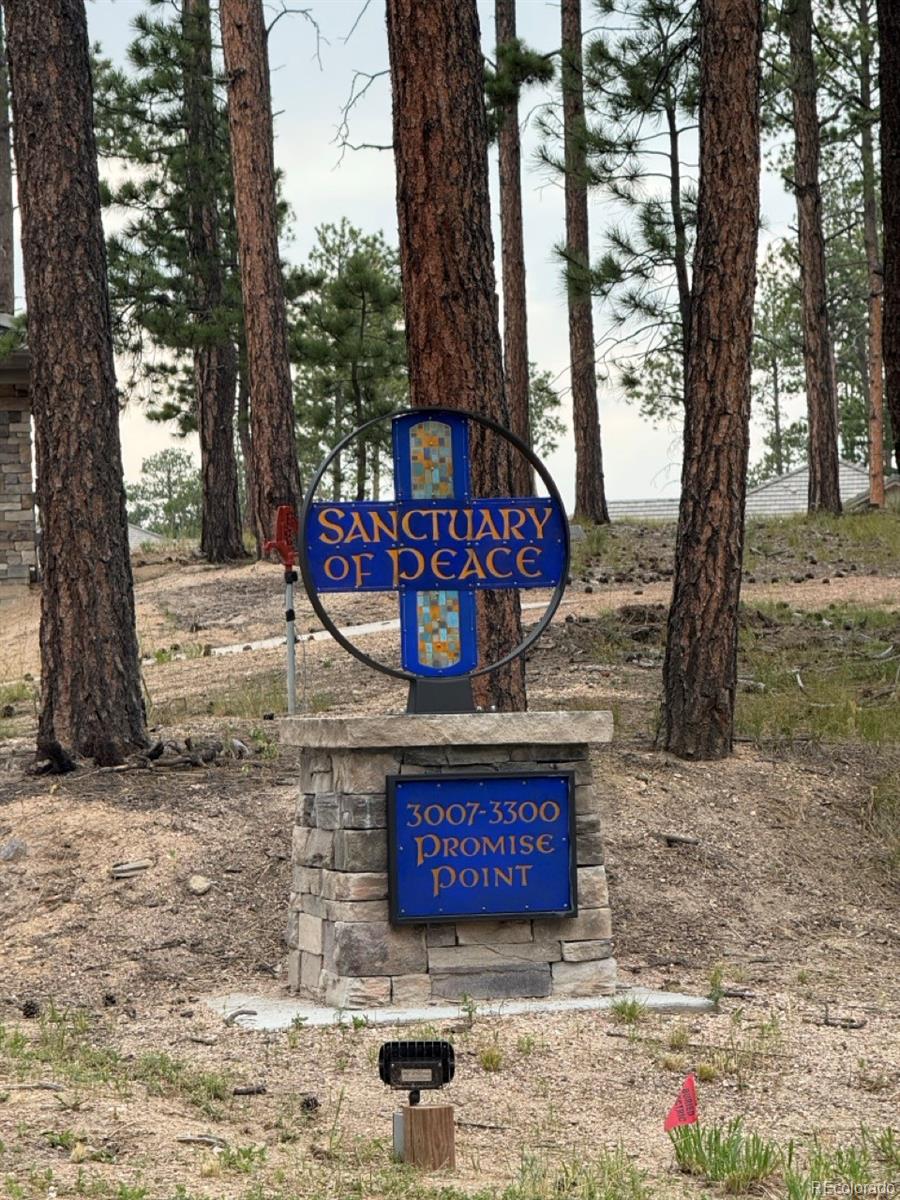 MLS Image #16 for 3135  promise point,colorado springs, Colorado
