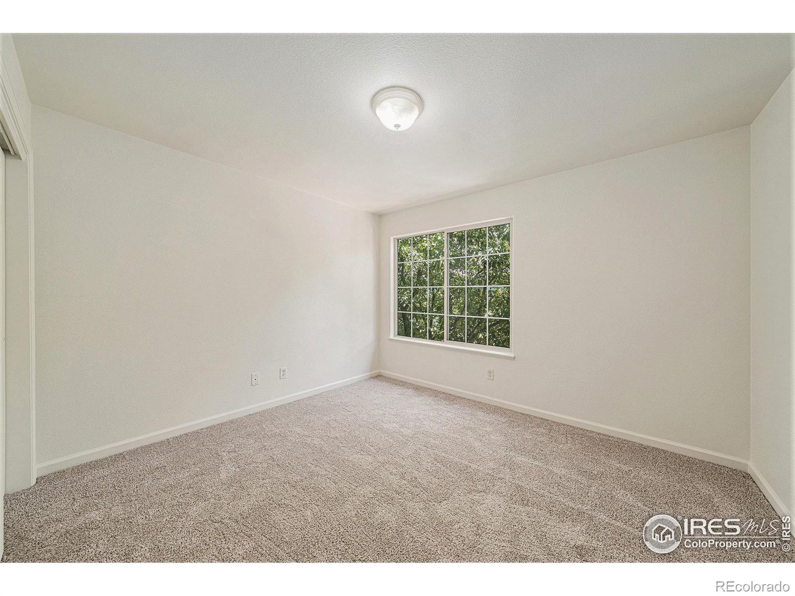 MLS Image #8 for 126  beacon way,windsor, Colorado