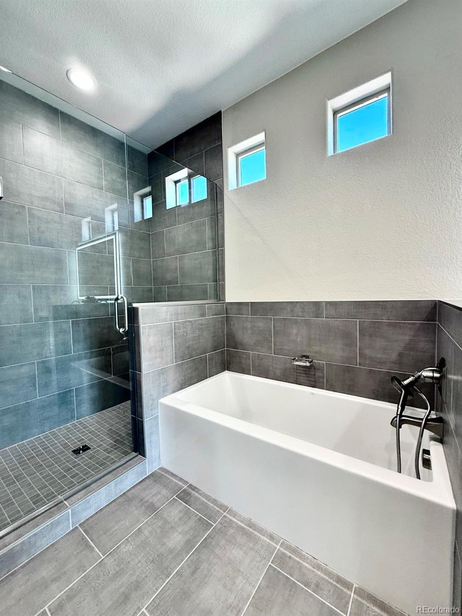 MLS Image #16 for 3145  promise point,colorado springs, Colorado