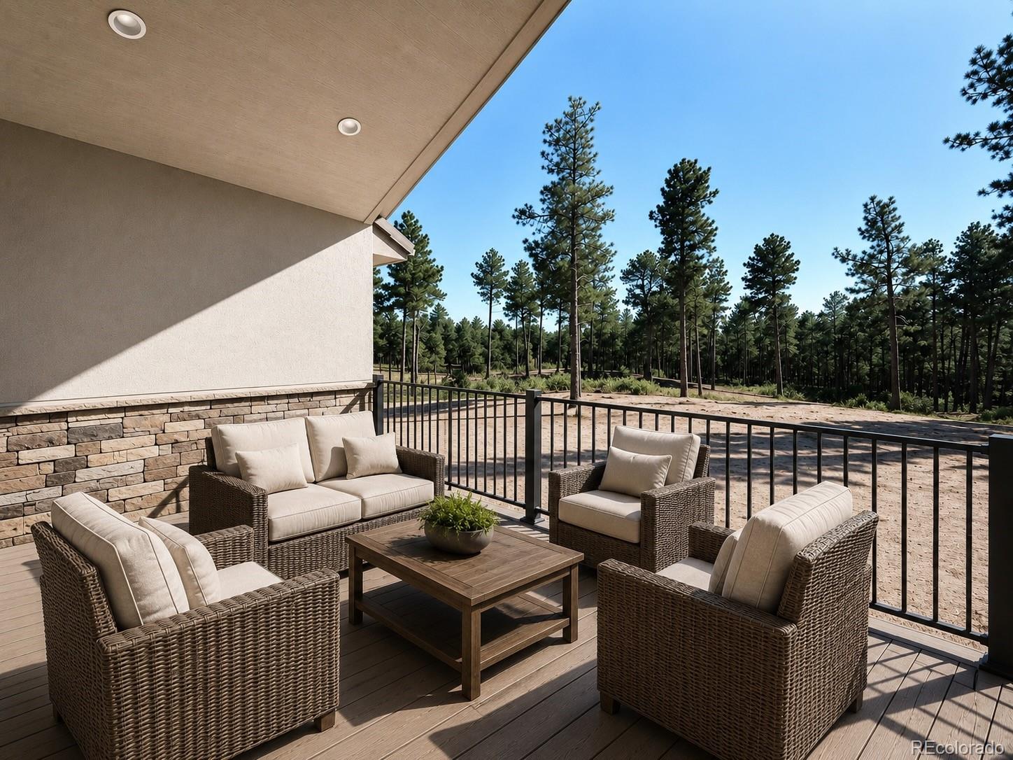 MLS Image #6 for 3145  promise point,colorado springs, Colorado
