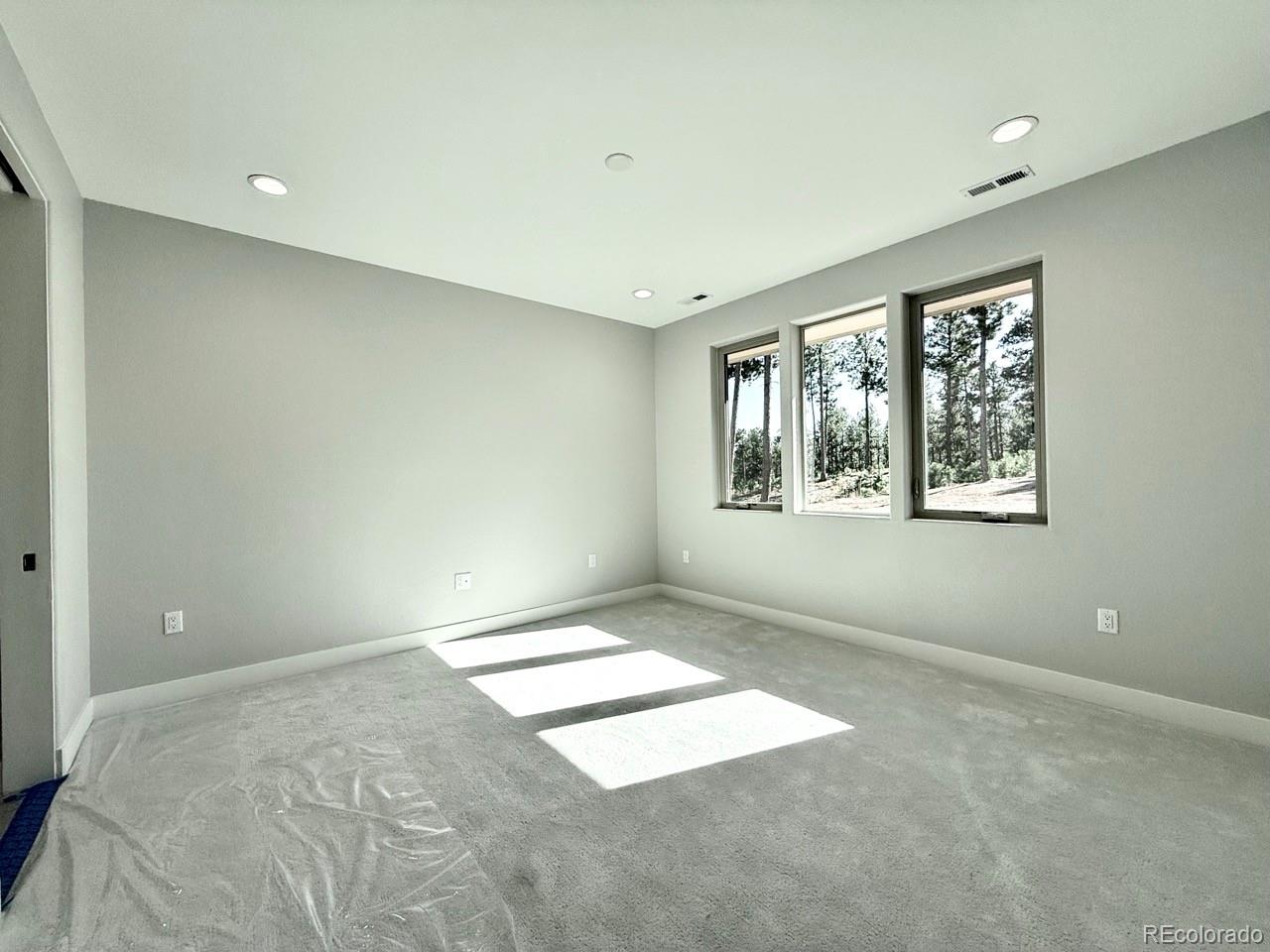 MLS Image #16 for 3155  promise point,colorado springs, Colorado