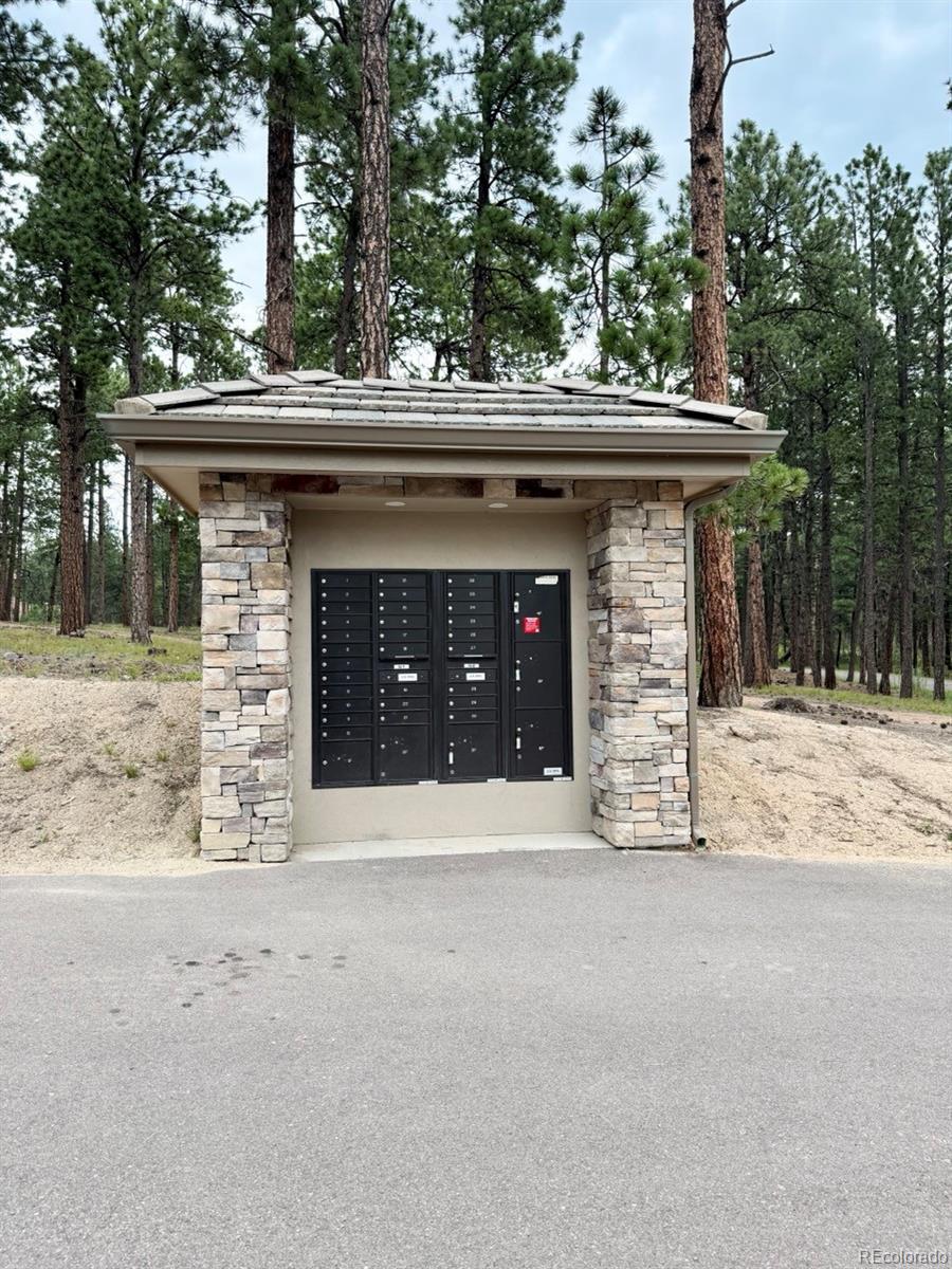MLS Image #27 for 3155  promise point ,colorado springs, Colorado