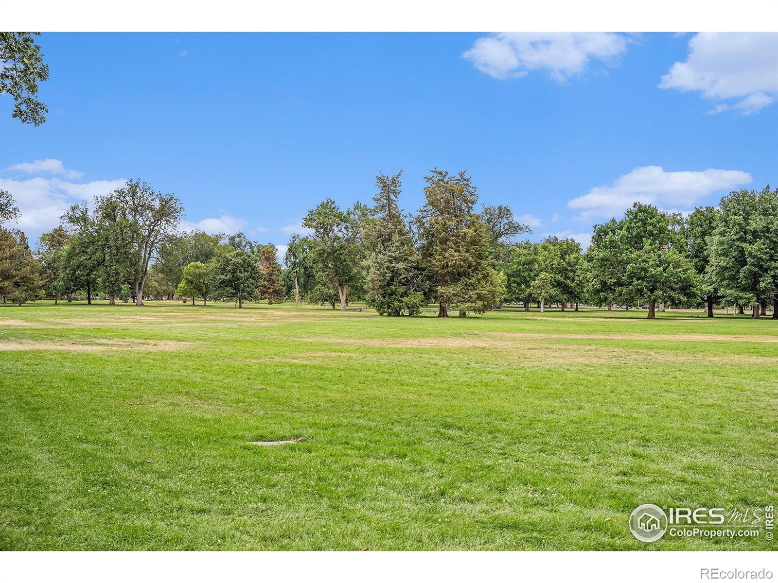 MLS Image #22 for 2124 e 17th avenue,denver, Colorado