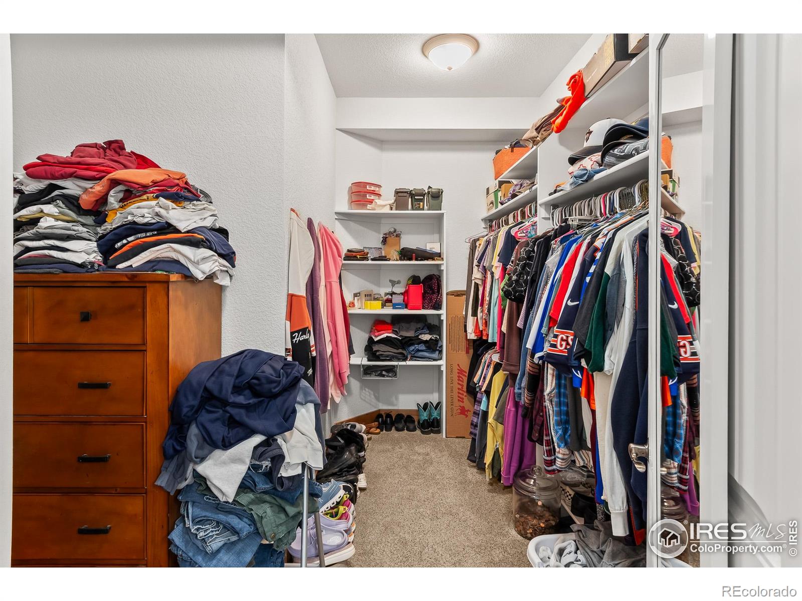 MLS Image #15 for 2862  ariel drive,loveland, Colorado