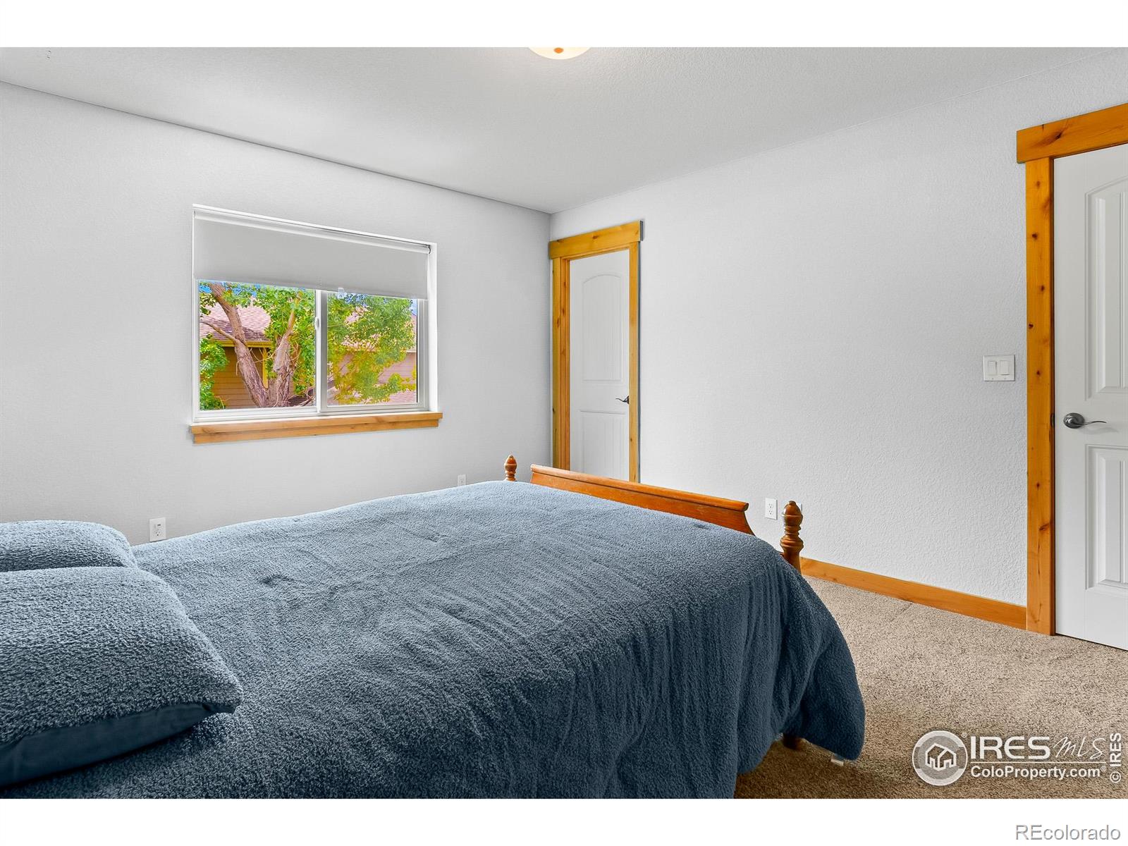 MLS Image #21 for 2862  ariel drive,loveland, Colorado