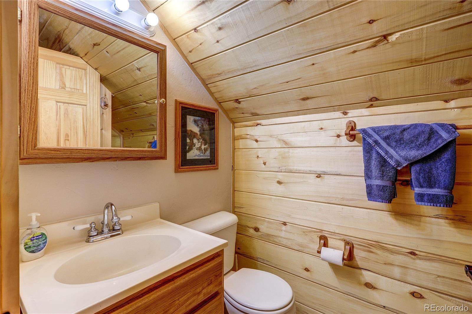MLS Image #24 for 129  county road 462 ,grand lake, Colorado