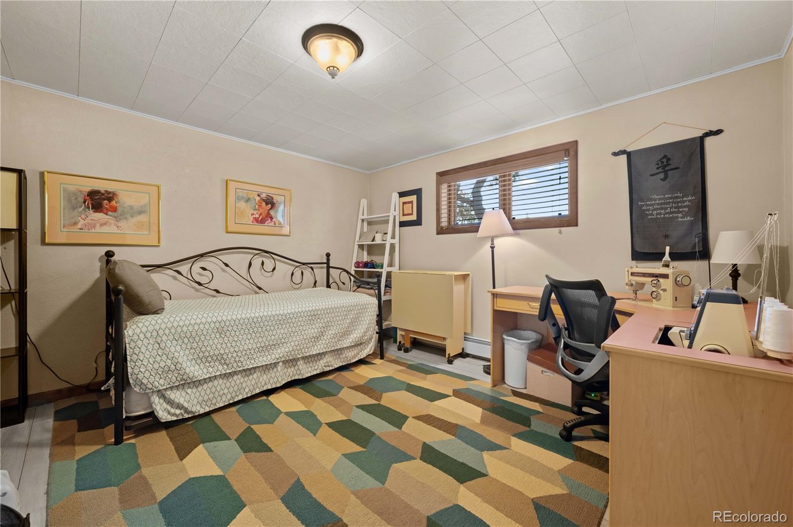 MLS Image #20 for 216  crossman avenue,buena vista, Colorado