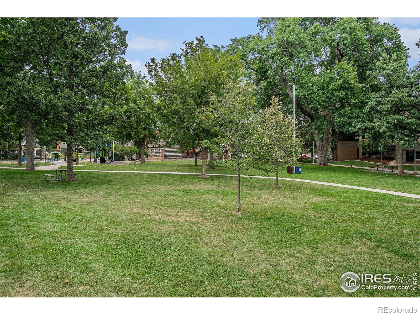 MLS Image #14 for 301  peterson street,fort collins, Colorado