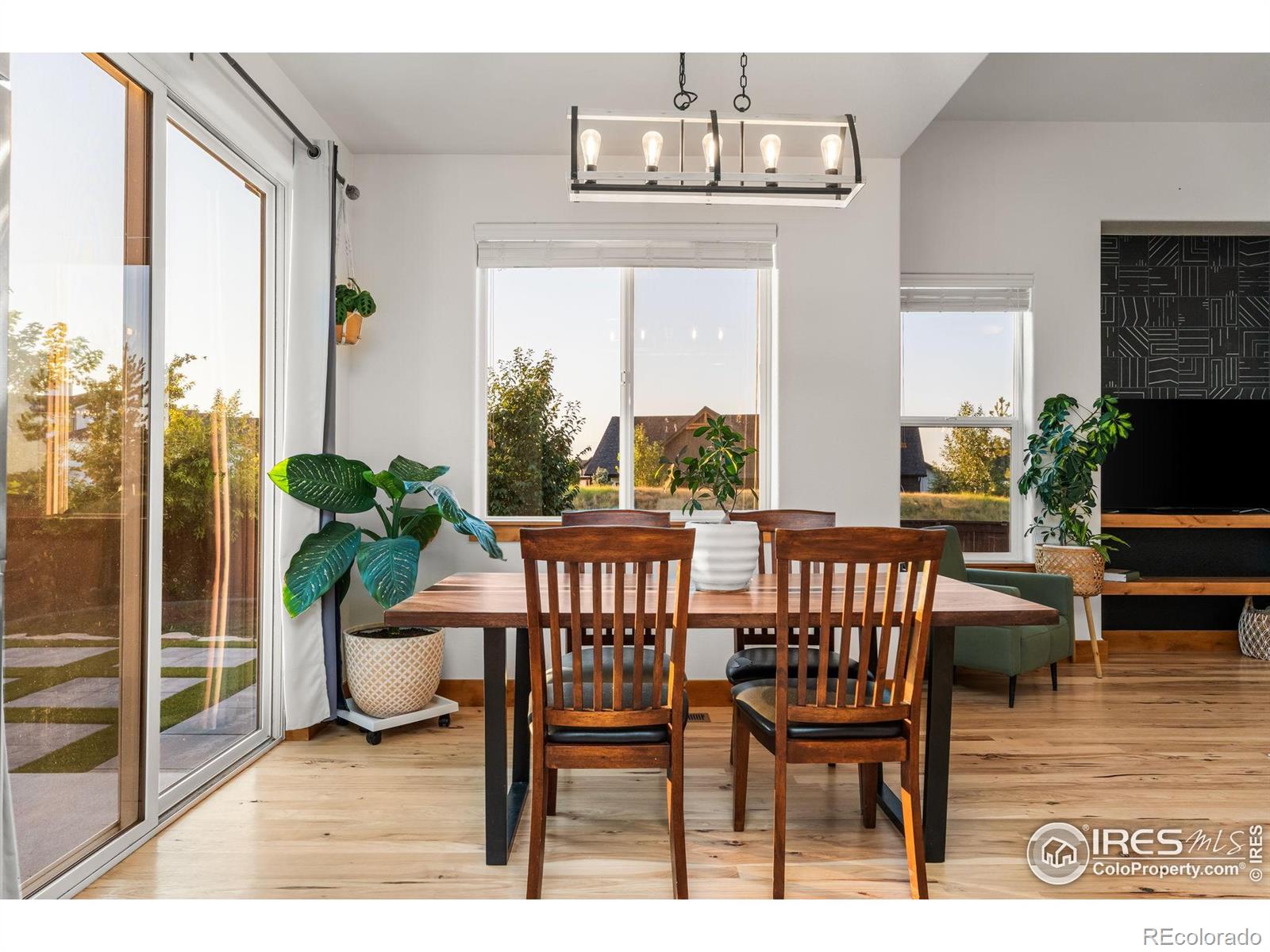MLS Image #14 for 1518  cherry grove court,windsor, Colorado
