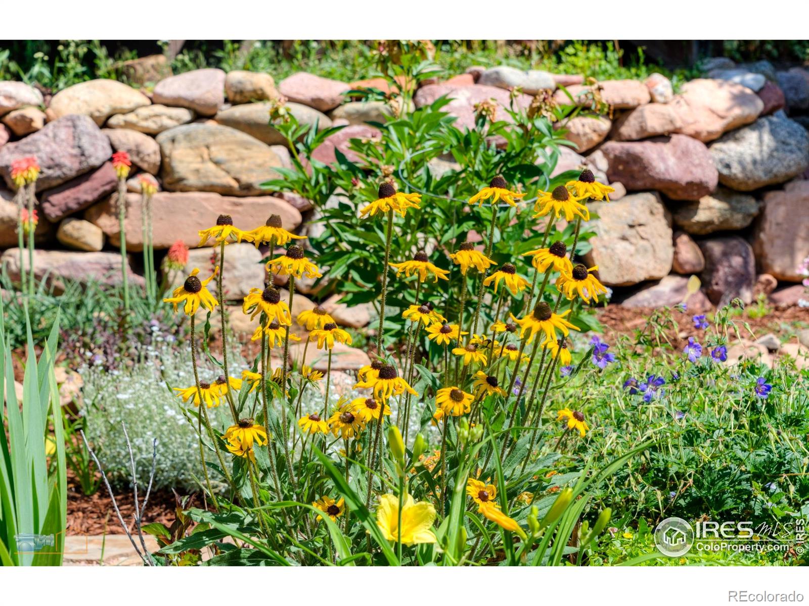 MLS Image #18 for 1495  cold springs road,nederland, Colorado
