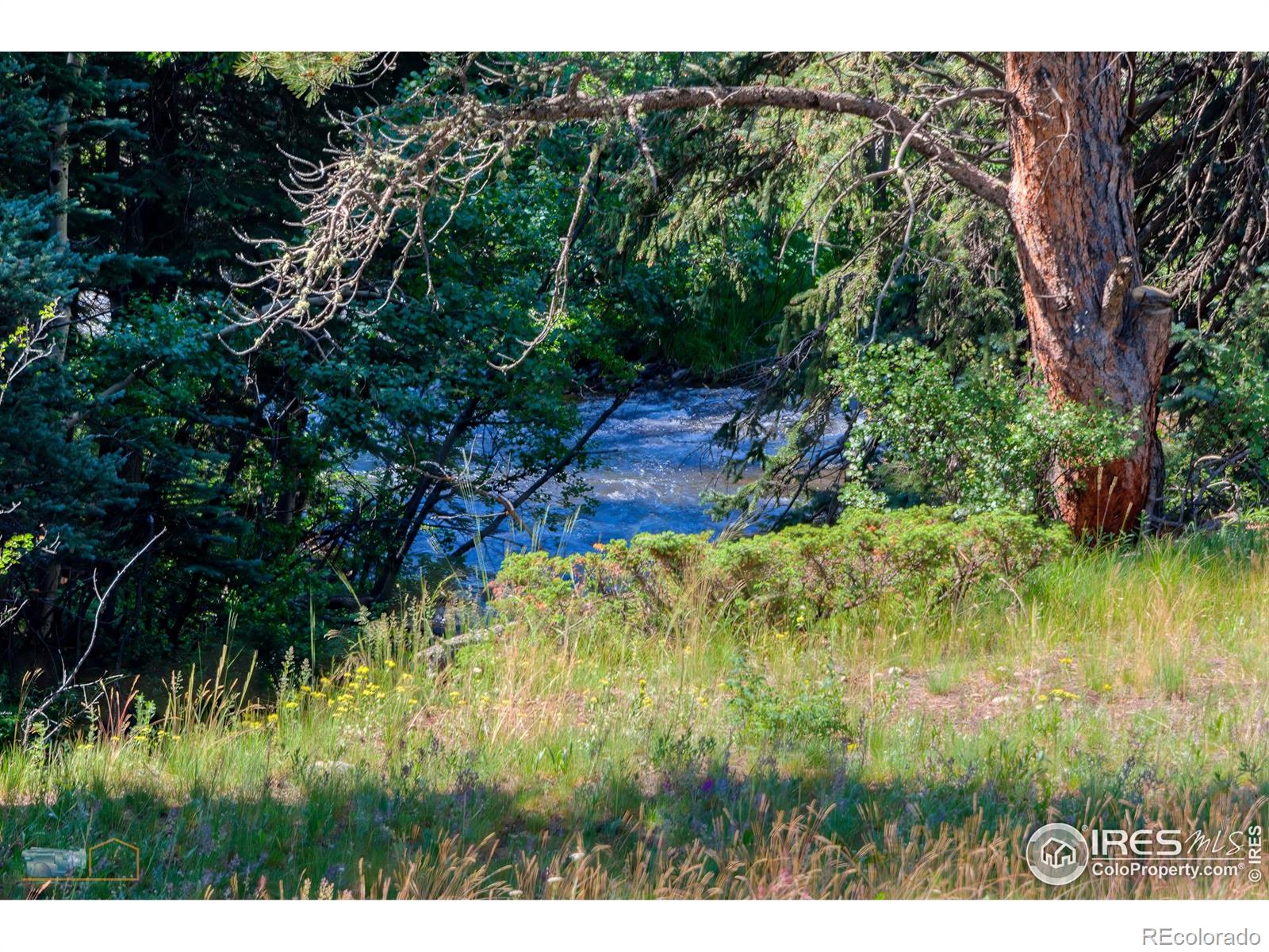 MLS Image #20 for 1495  cold springs road,nederland, Colorado