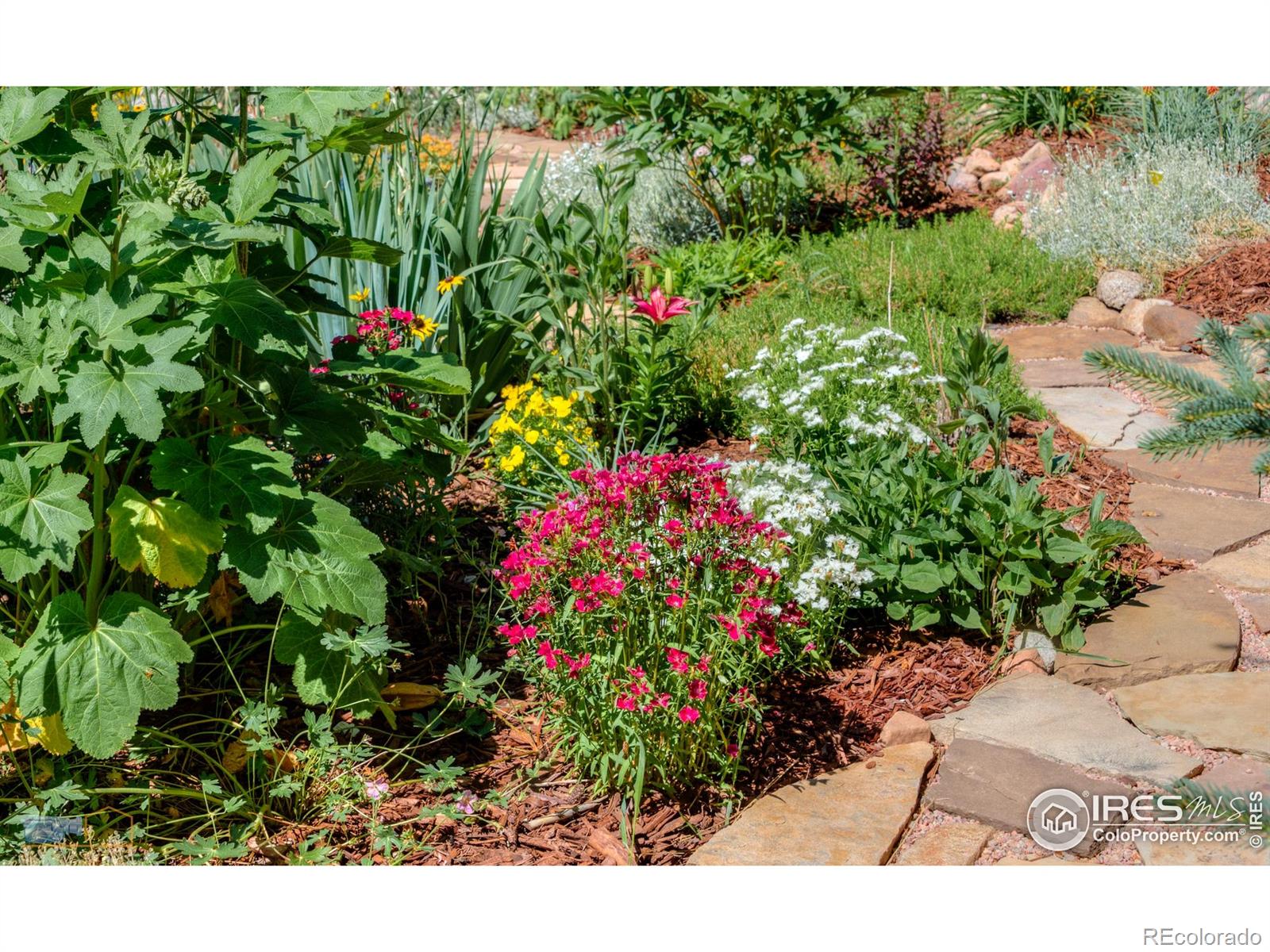 MLS Image #21 for 1495  cold springs road,nederland, Colorado