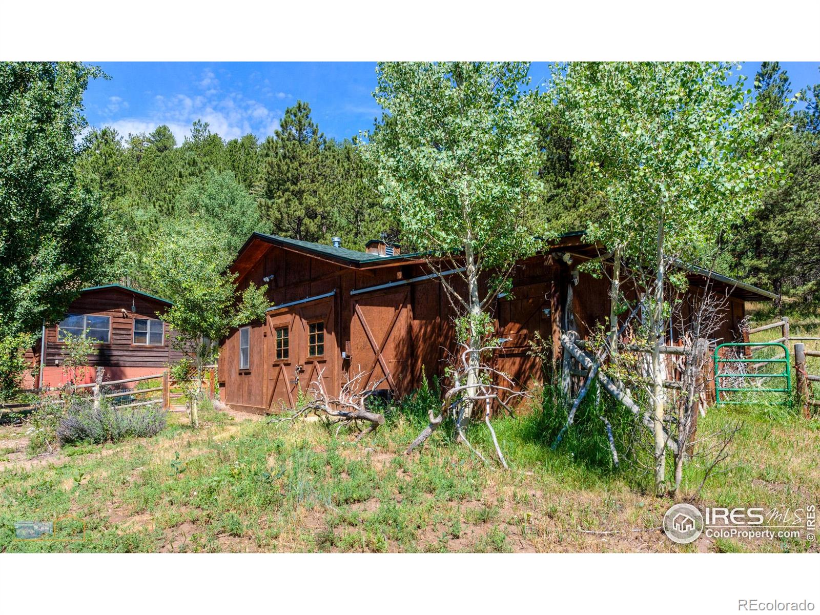 MLS Image #23 for 1495  cold springs road,nederland, Colorado