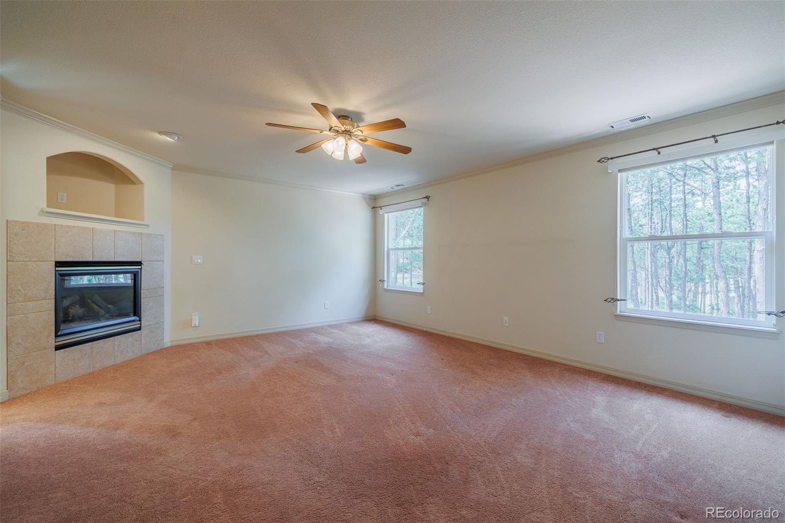 MLS Image #17 for 15954  backwoods court,colorado springs, Colorado