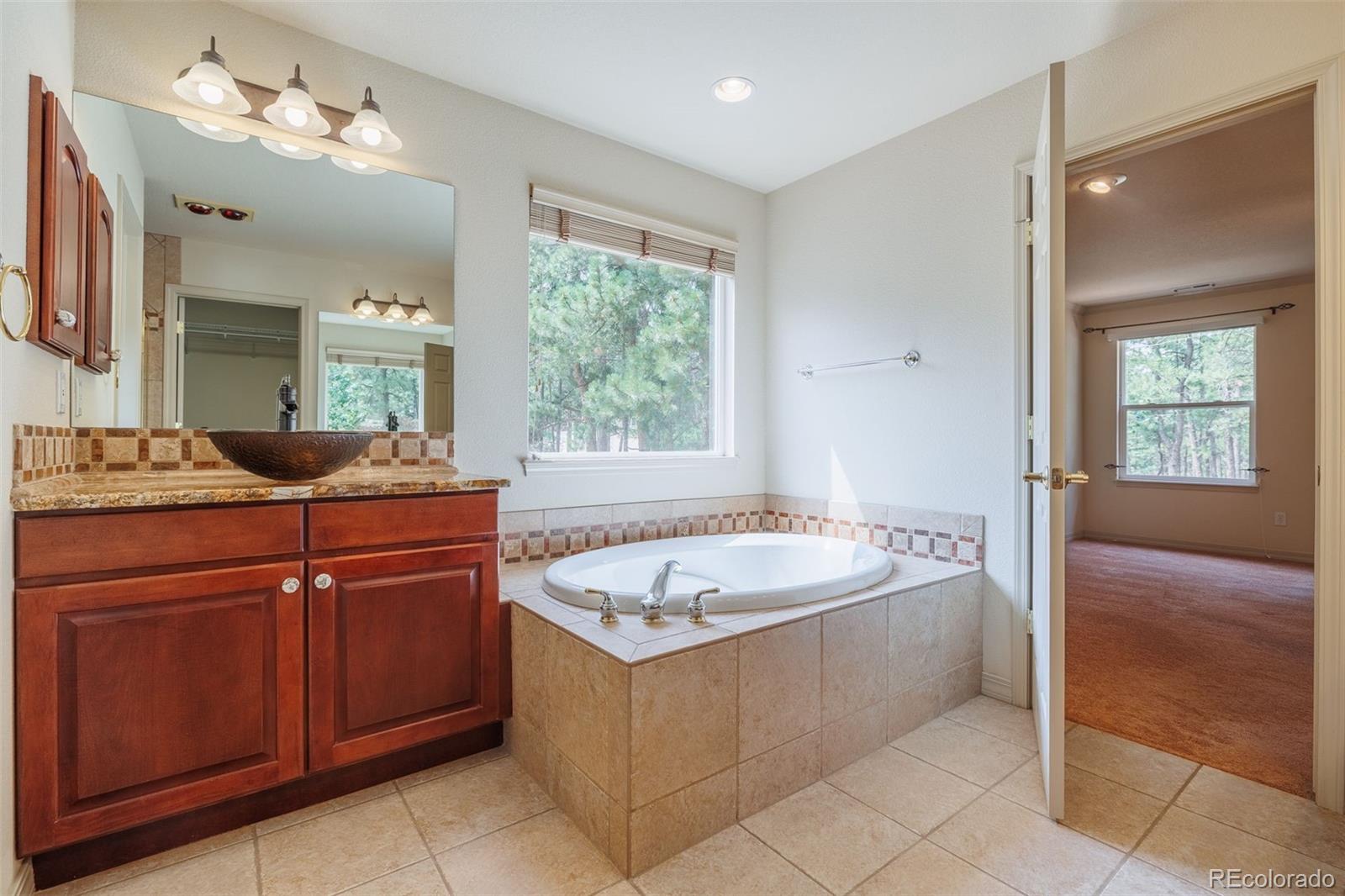 MLS Image #22 for 15954  backwoods court,colorado springs, Colorado