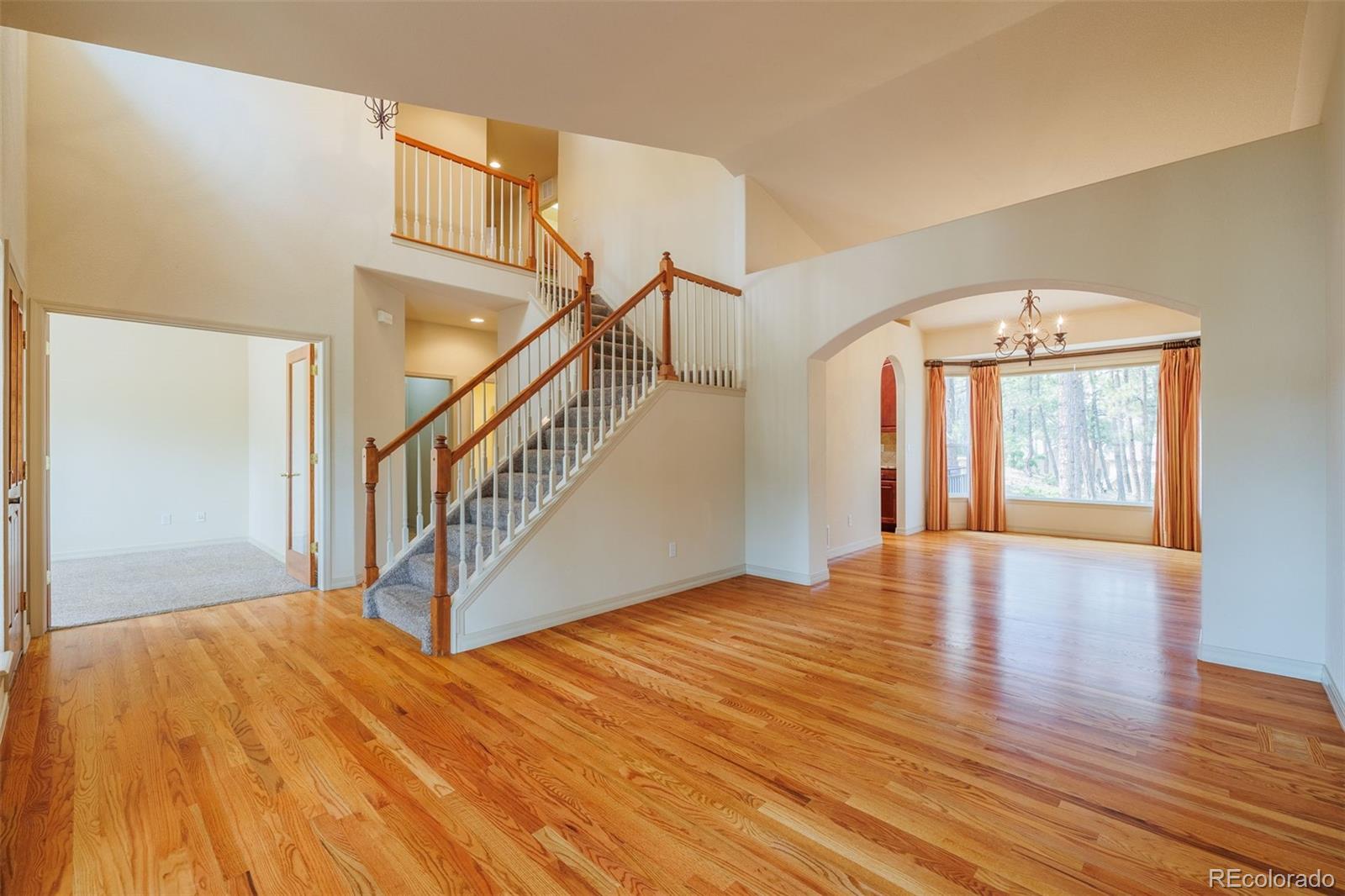 MLS Image #5 for 15954  backwoods court,colorado springs, Colorado