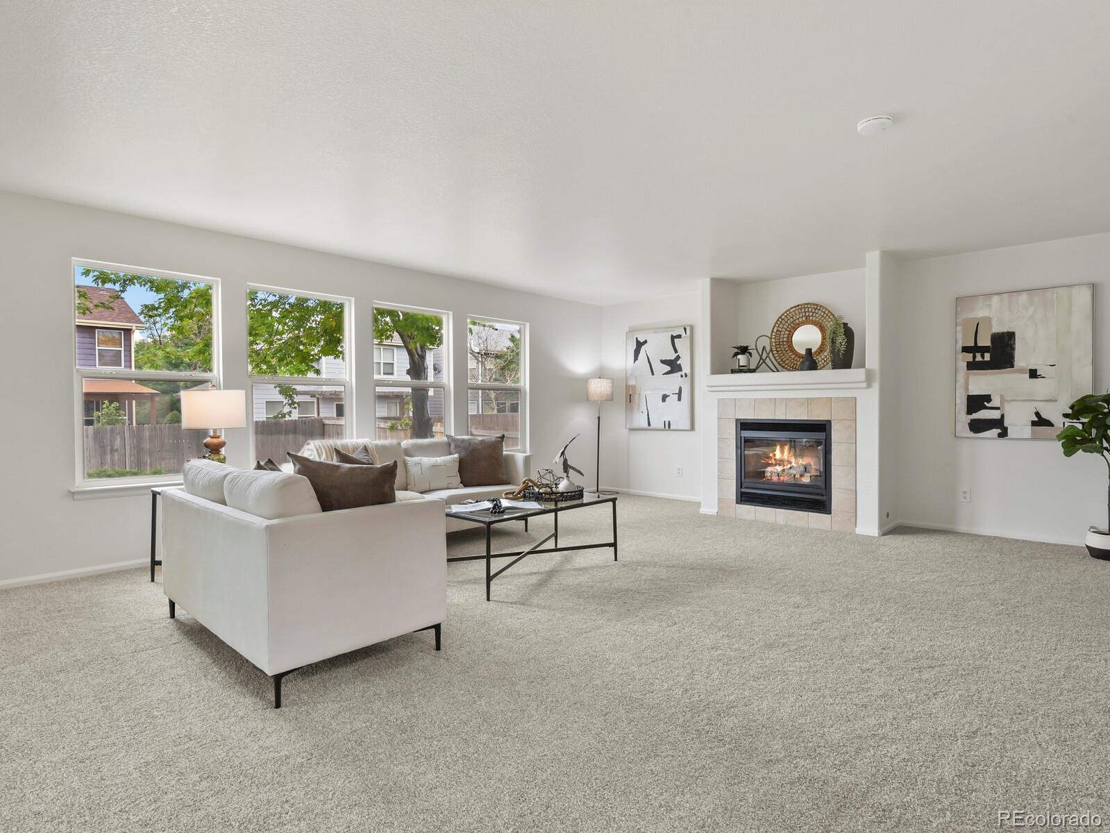 MLS Image #7 for 1178  lark lane,brighton, Colorado