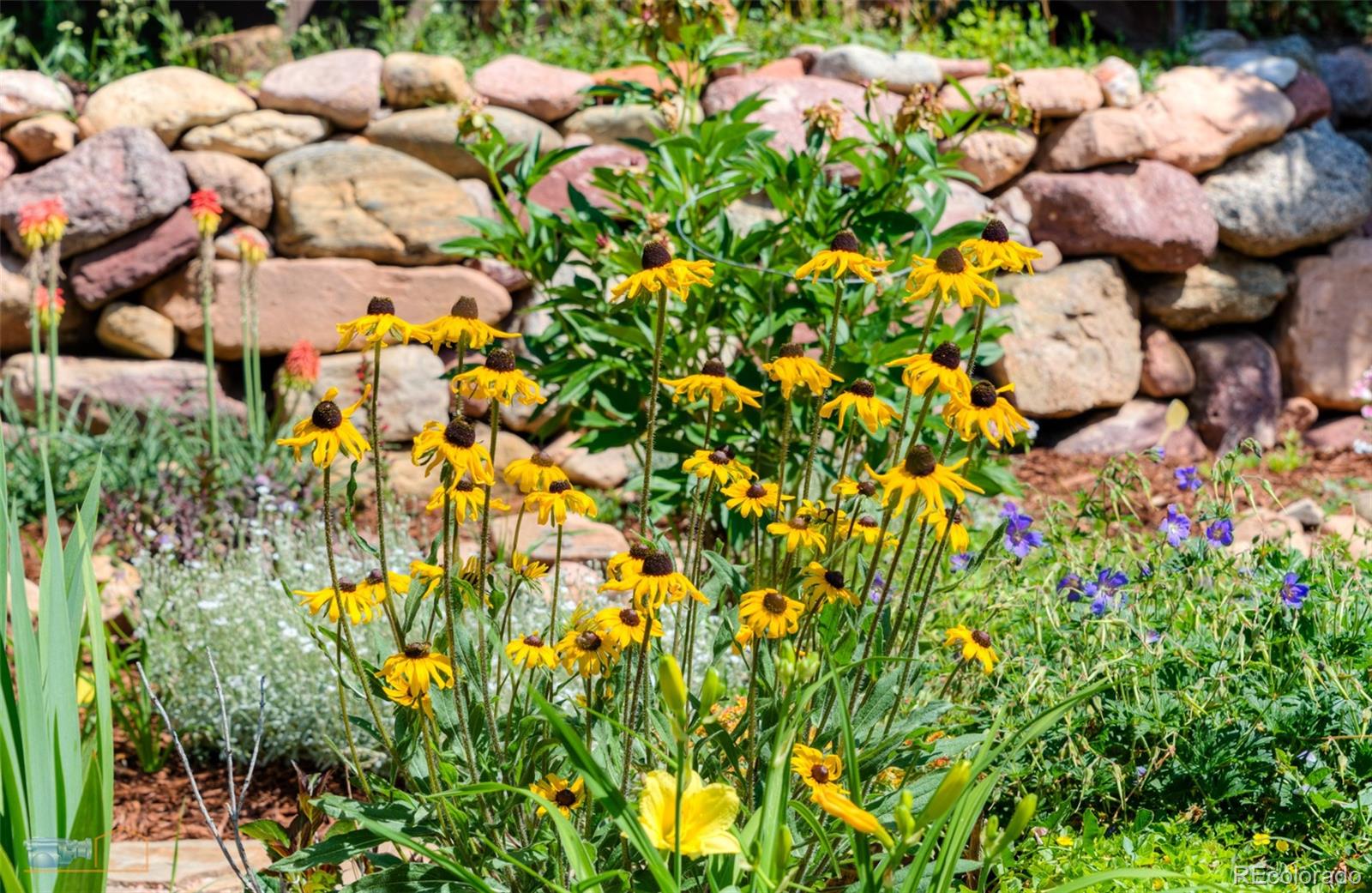 MLS Image #24 for 1495  cold springs road,nederland, Colorado