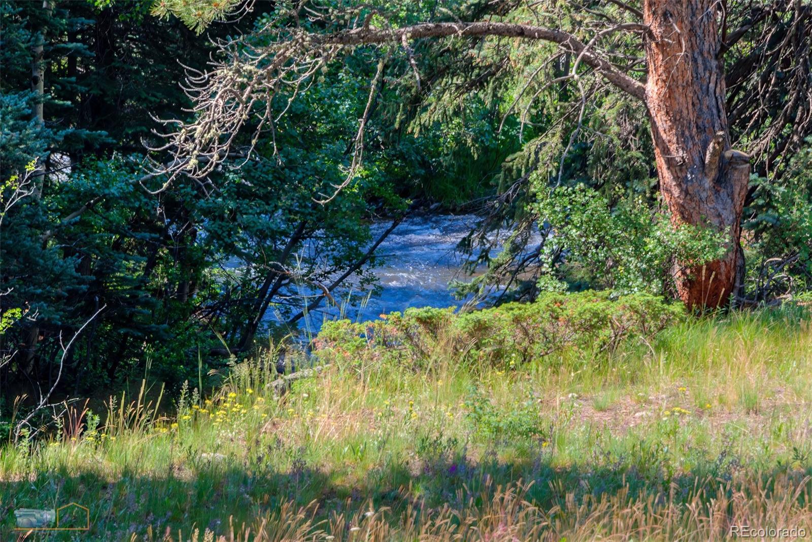 MLS Image #25 for 1495  cold springs road,nederland, Colorado