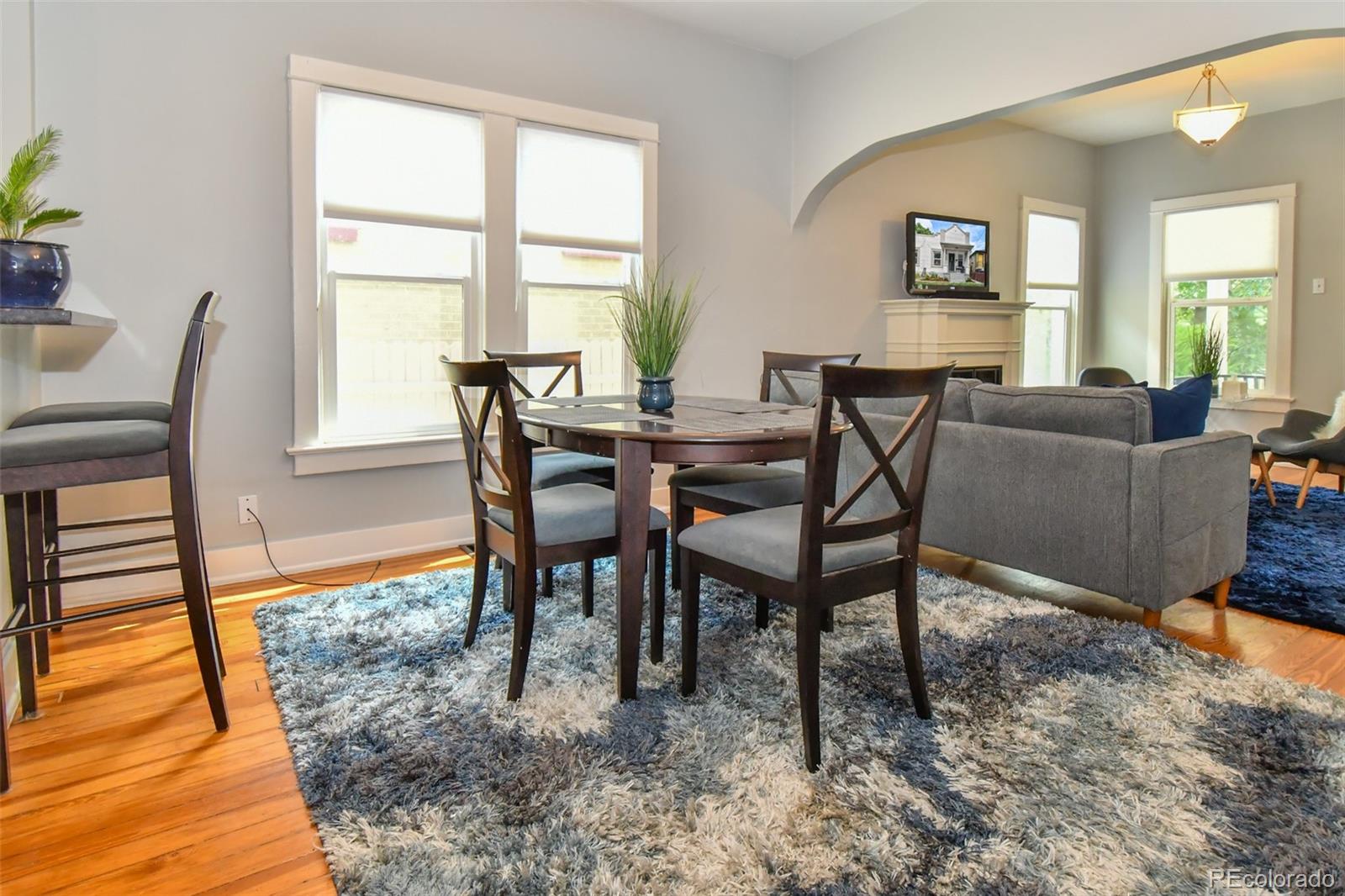MLS Image #45 for 3332  decatur street,denver, Colorado