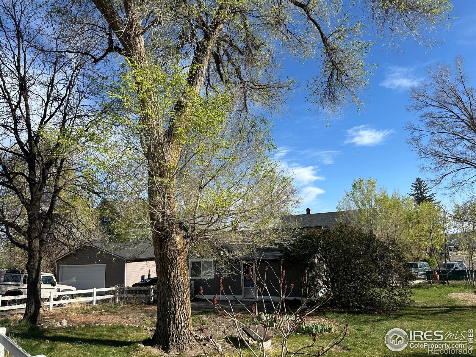 MLS Image #3 for 1129  2nd avenue,longmont, Colorado
