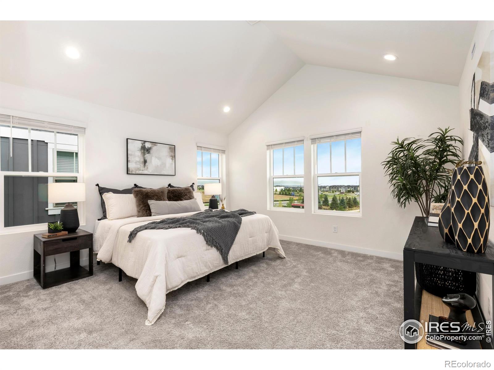 MLS Image #10 for 1478  peach avenue,erie, Colorado