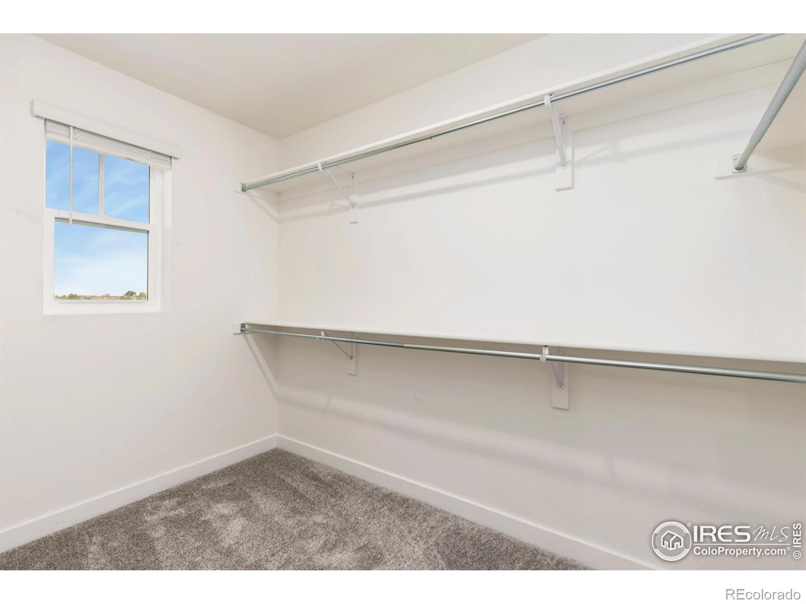 MLS Image #13 for 1478  peach avenue,erie, Colorado