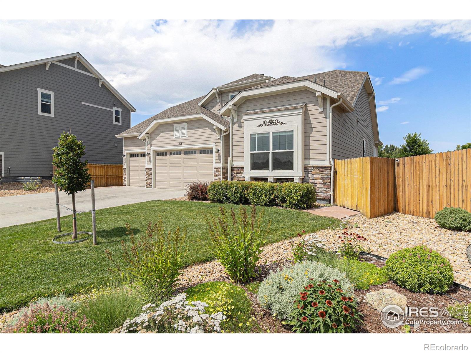 MLS Image #3 for 768  sandpoint drive,longmont, Colorado
