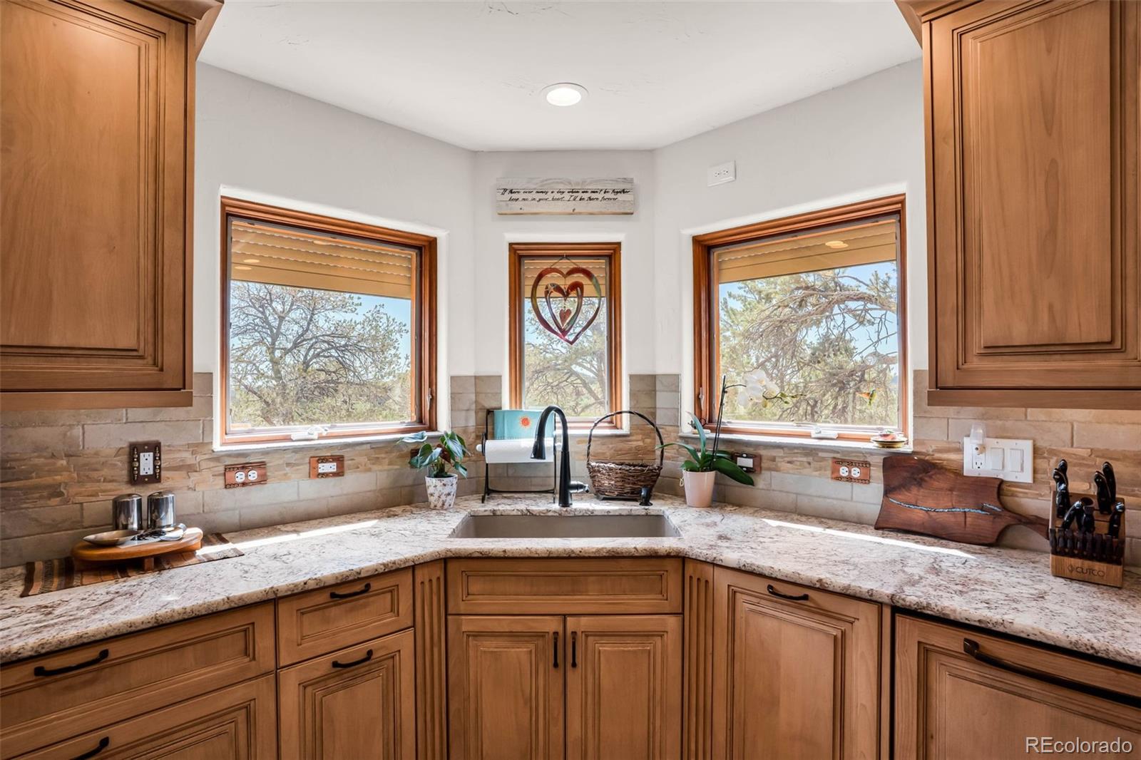 MLS Image #10 for 15660  rancho pavo drive,colorado springs, Colorado