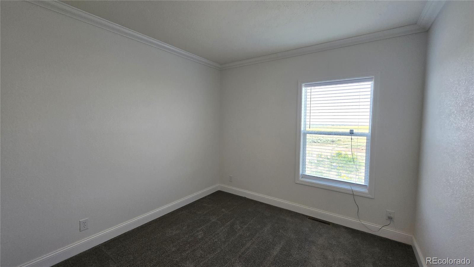 MLS Image #16 for 16363  peacock road,san luis, Colorado
