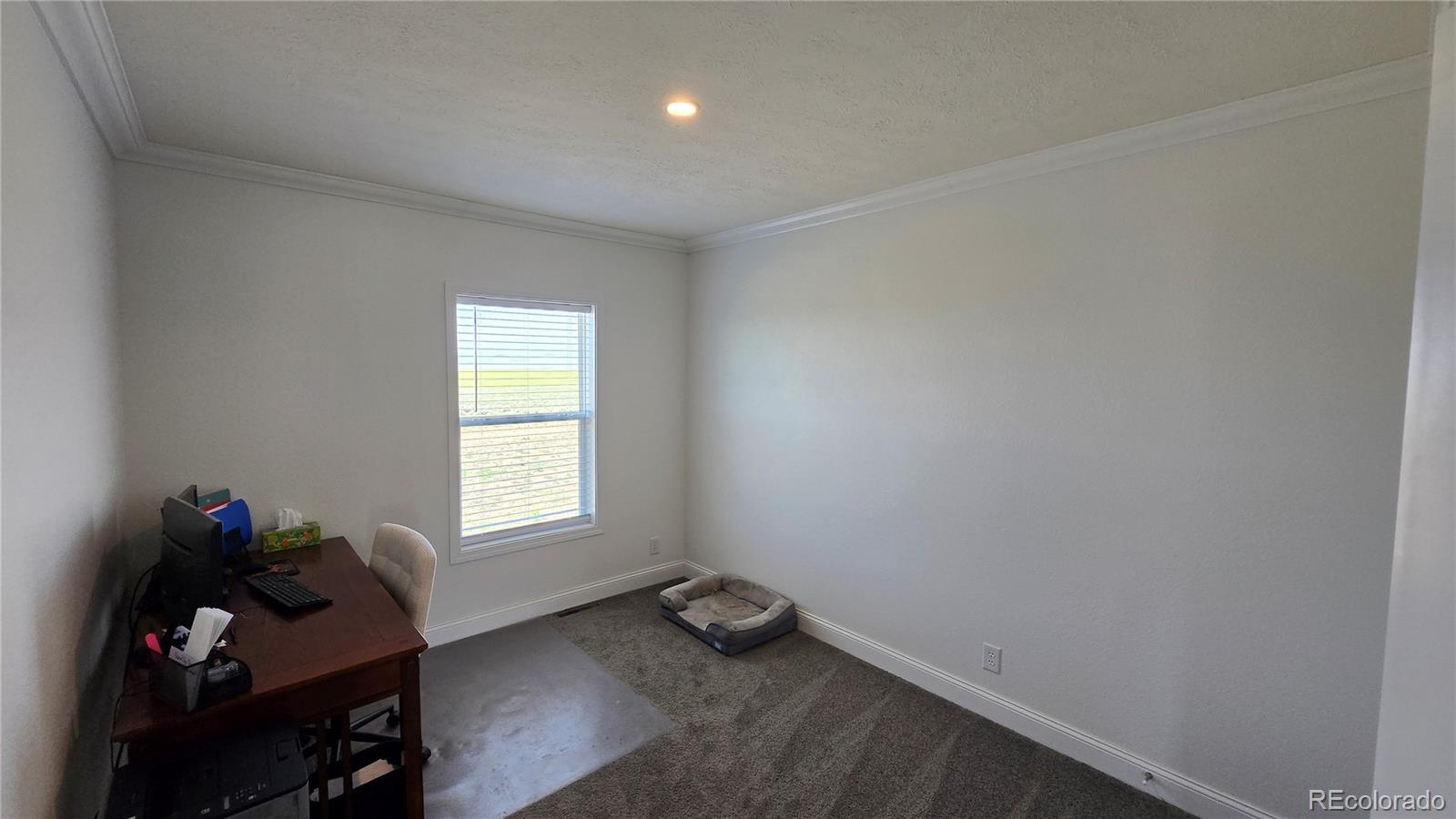 MLS Image #19 for 16363  peacock road,san luis, Colorado