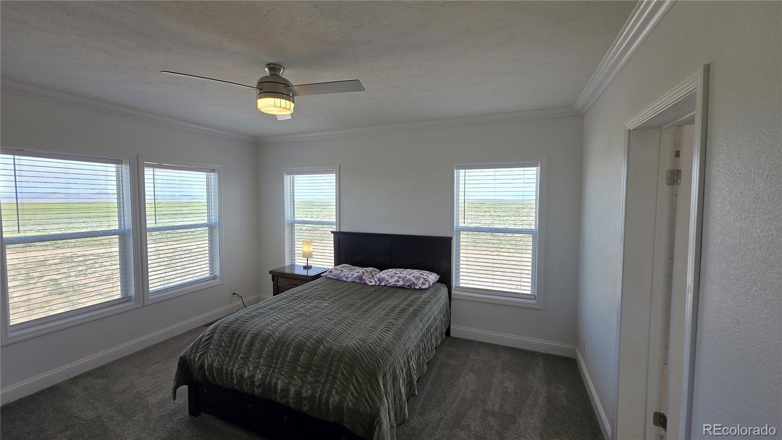 MLS Image #8 for 16363  peacock road,san luis, Colorado