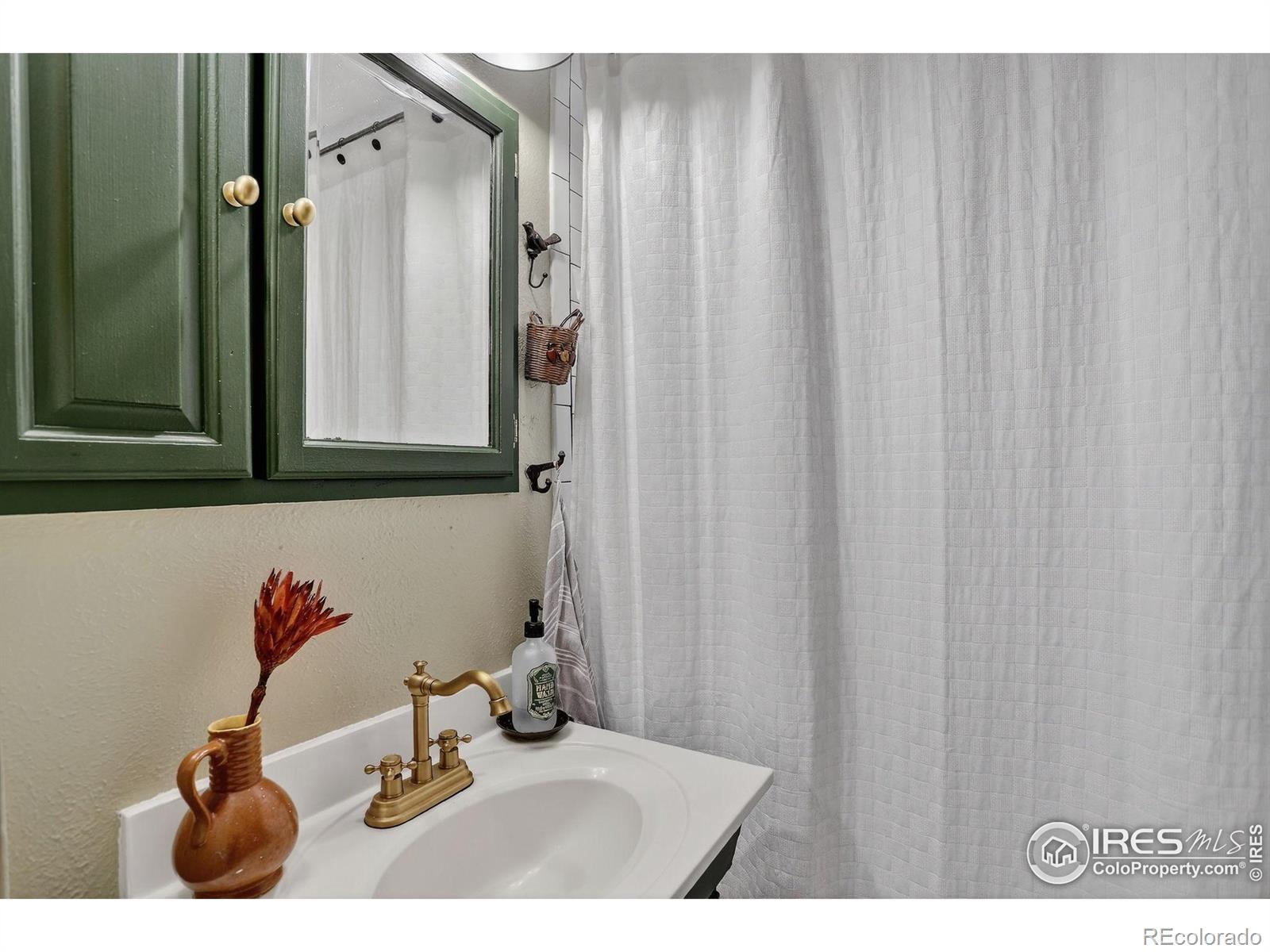 MLS Image #20 for 660  madison avenue,loveland, Colorado