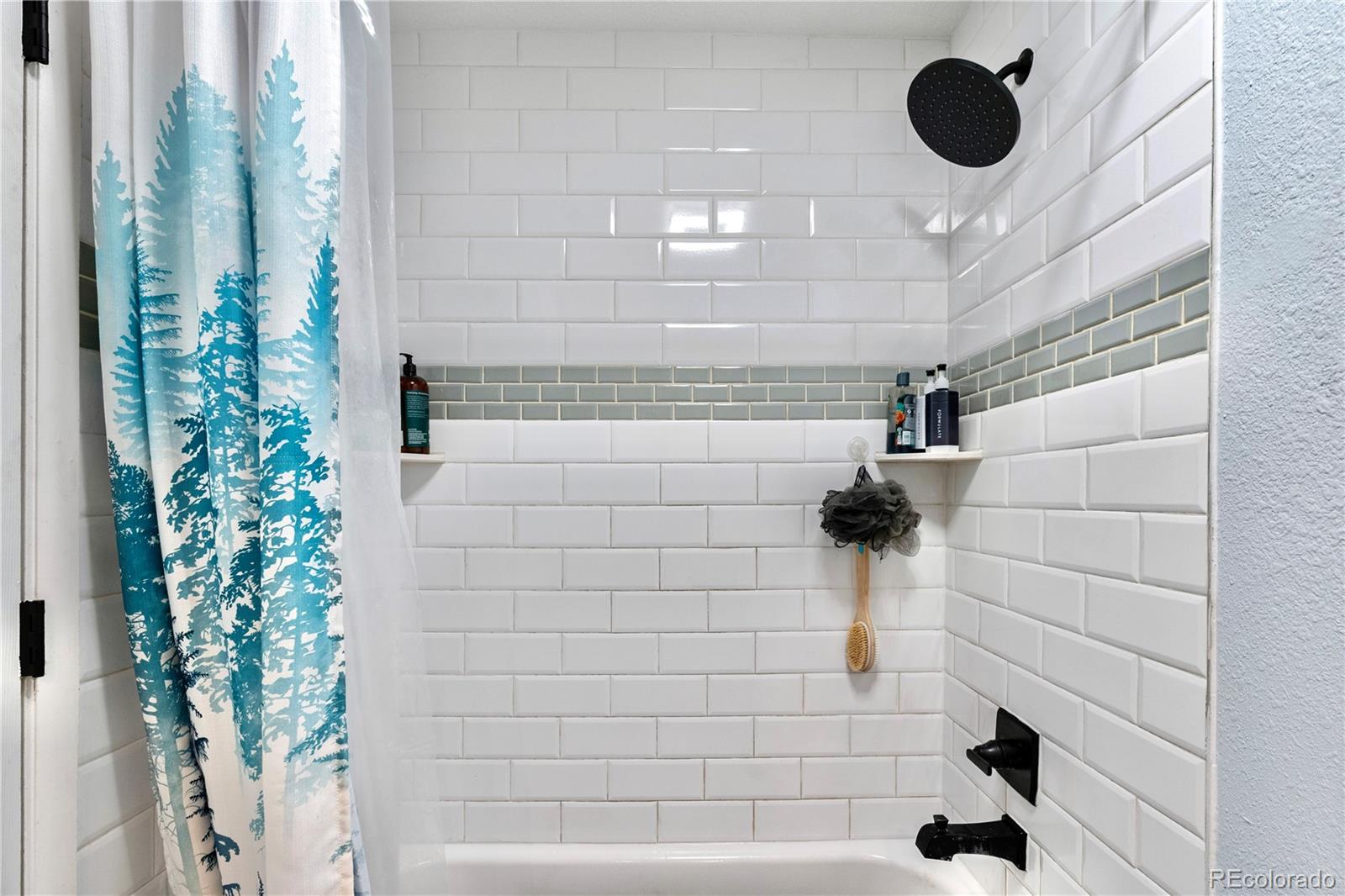 MLS Image #14 for 72  lansing street,aurora, Colorado