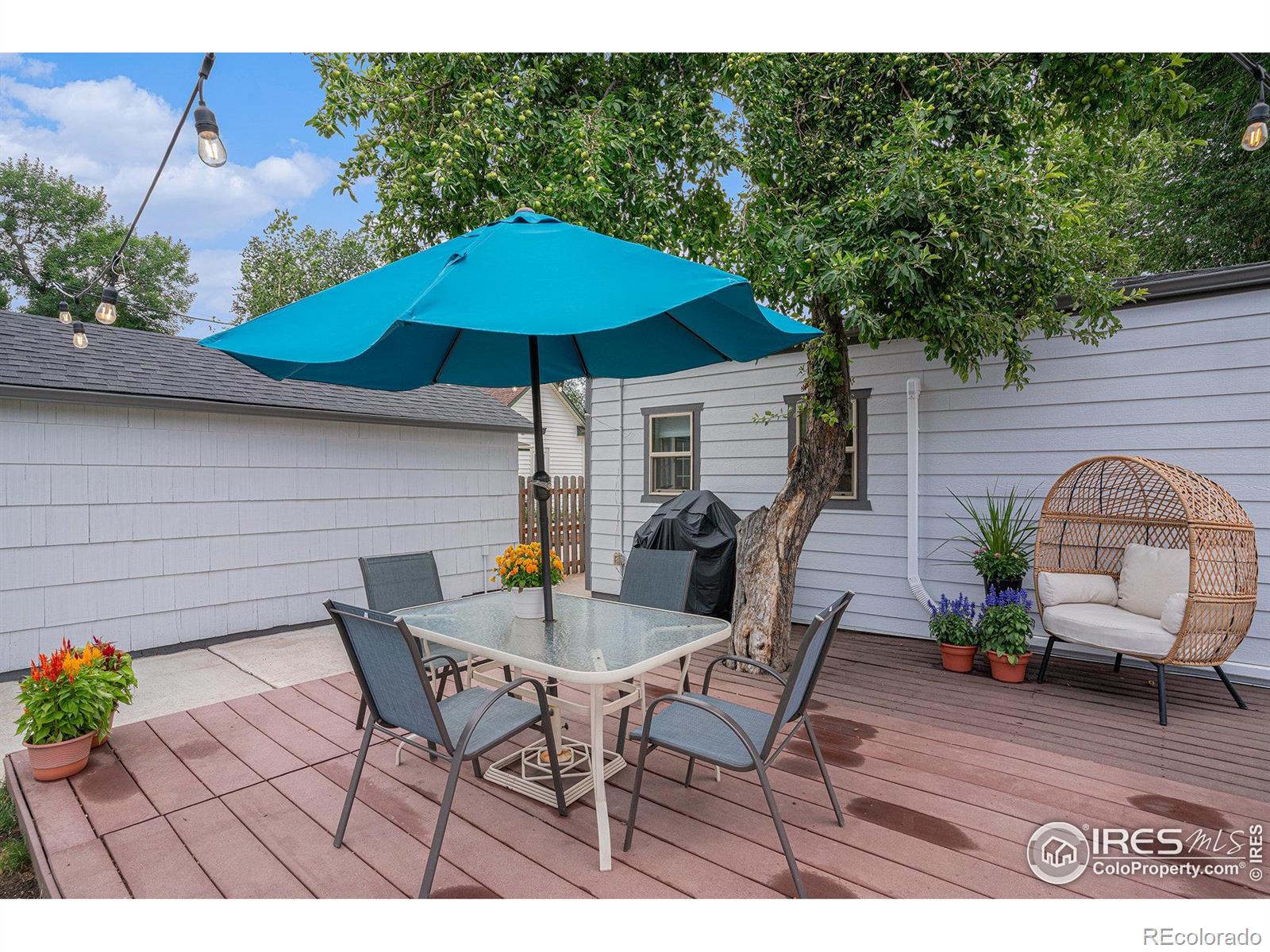 MLS Image #18 for 720  roosevelt avenue,loveland, Colorado