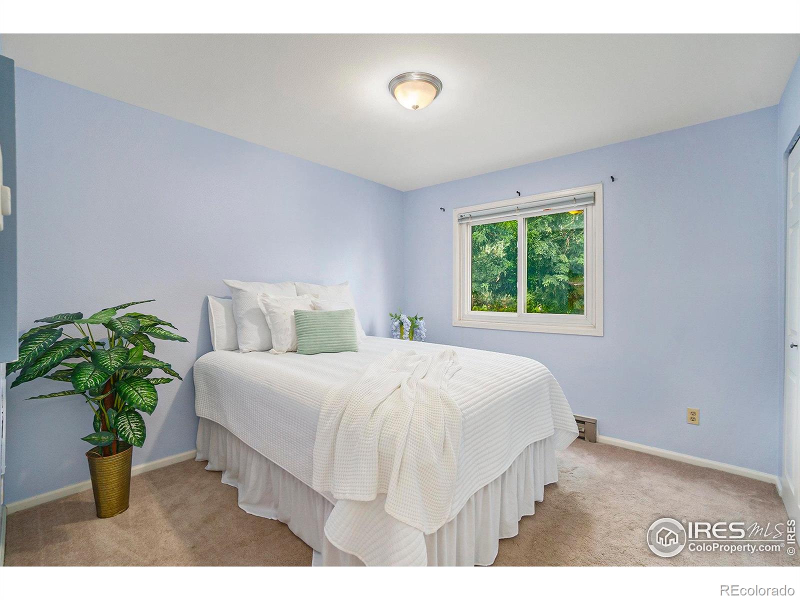MLS Image #6 for 3005  ross drive,fort collins, Colorado