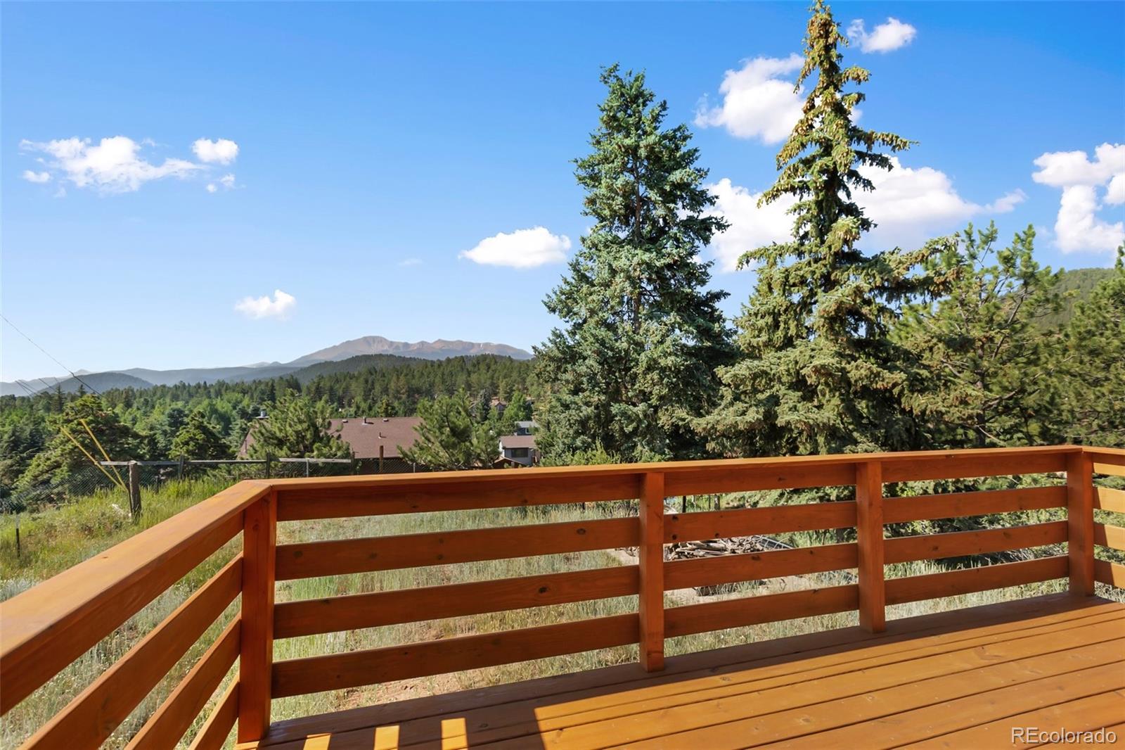 MLS Image #3 for 305 w dewell road,woodland park, Colorado