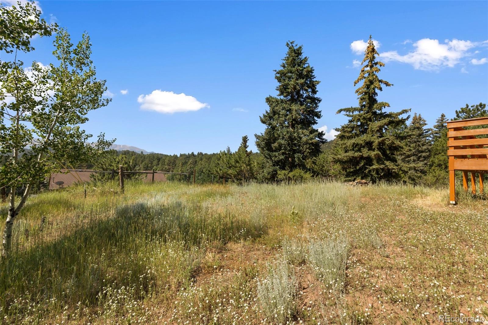MLS Image #31 for 305 w dewell road,woodland park, Colorado