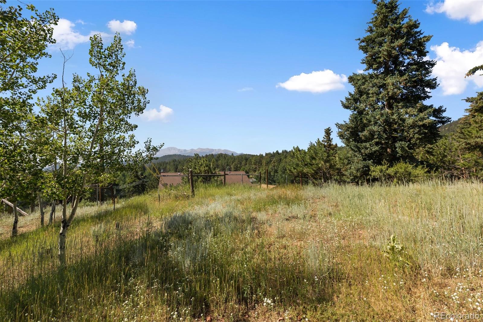 MLS Image #32 for 305 w dewell road,woodland park, Colorado