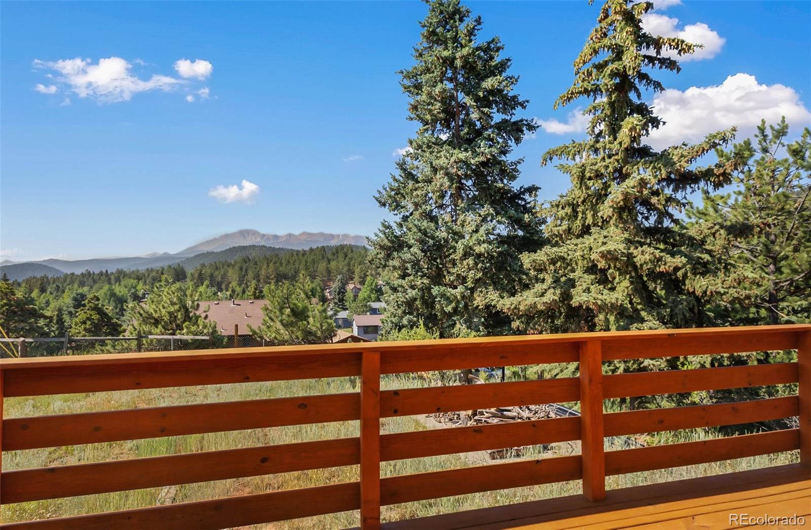 MLS Image #5 for 305 w dewell road,woodland park, Colorado