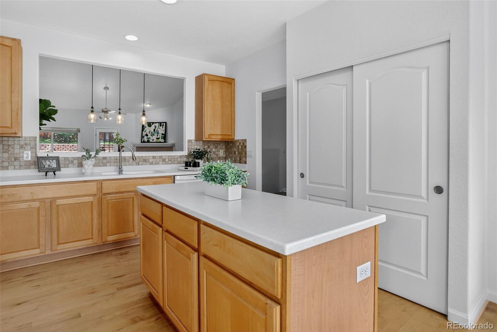 MLS Image #12 for 21029  woodside lane,parker, Colorado
