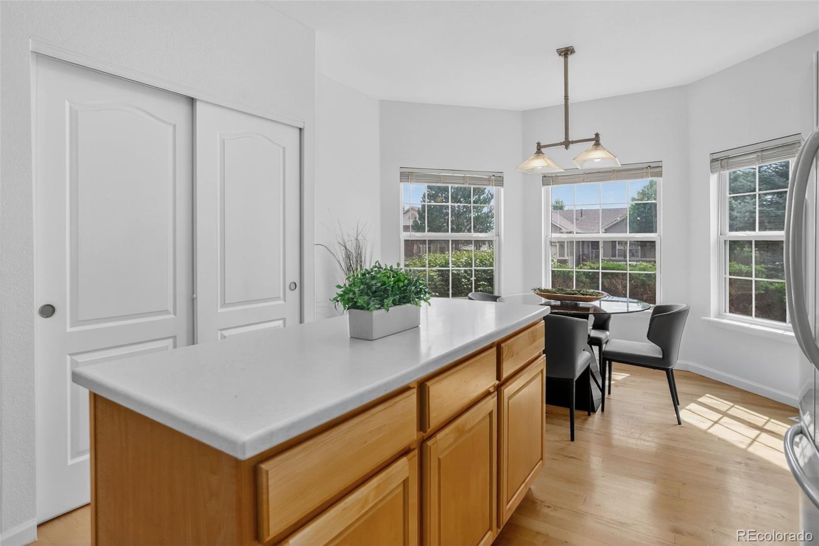 MLS Image #13 for 21029  woodside lane,parker, Colorado