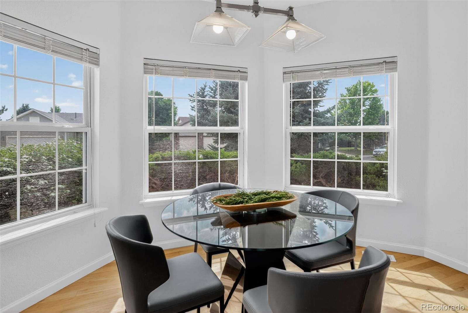 MLS Image #14 for 21029  woodside lane,parker, Colorado