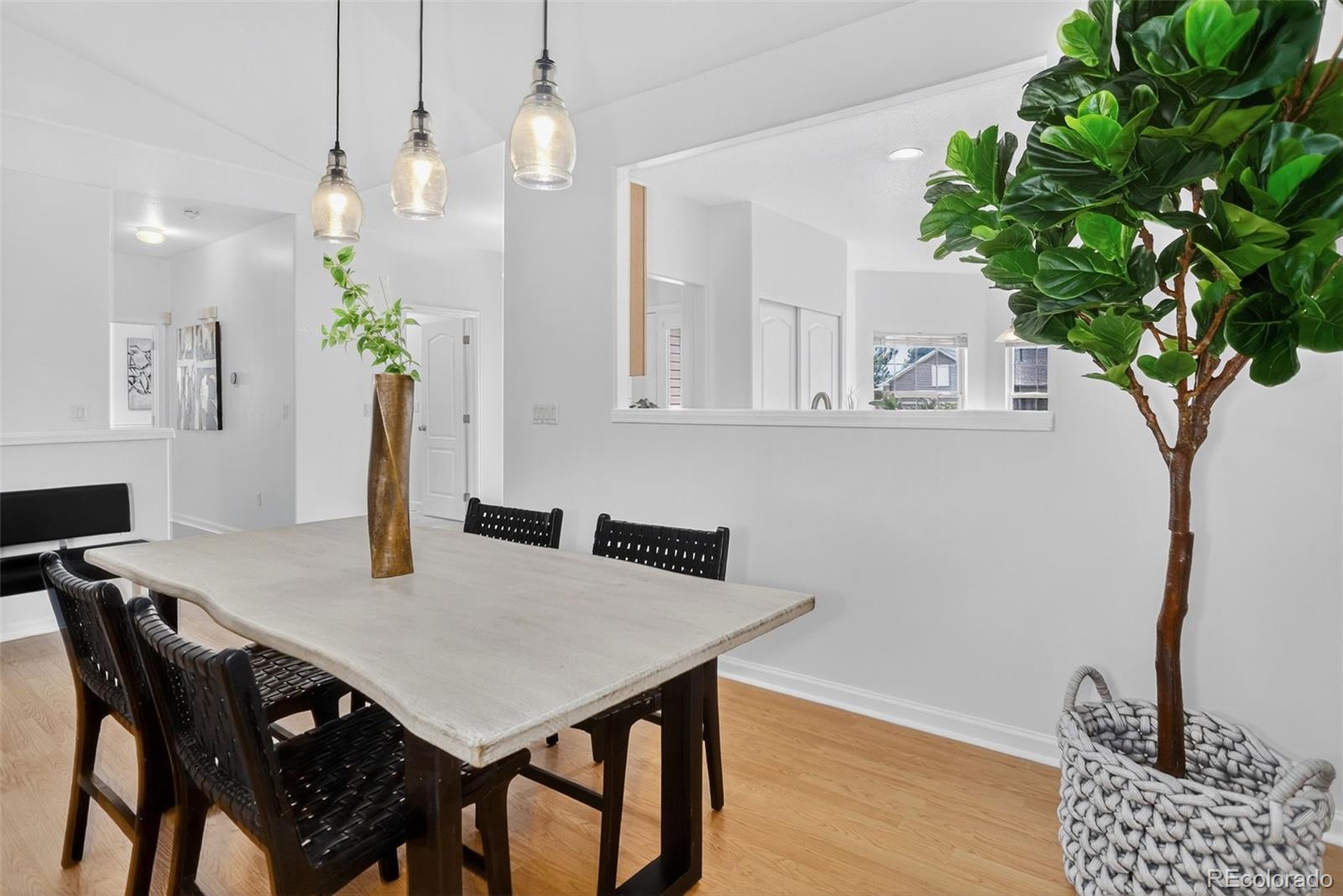 MLS Image #7 for 21029  woodside lane,parker, Colorado