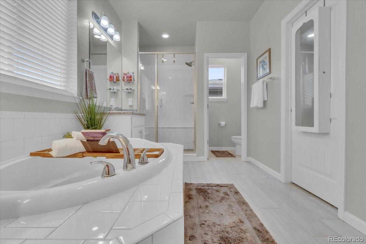 MLS Image #21 for 5064  wingfeather place,castle rock, Colorado