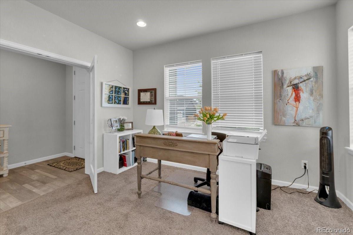 MLS Image #4 for 5064  wingfeather place,castle rock, Colorado