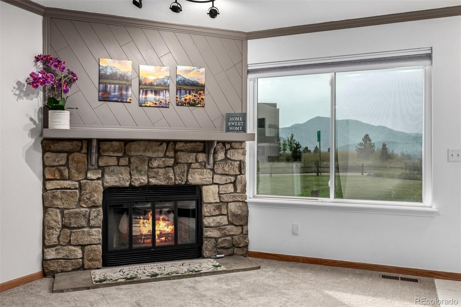 MLS Image #13 for 4226 s eldridge street,morrison, Colorado
